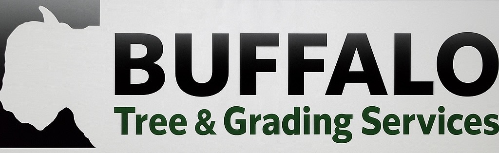 Buffalo Tree & Grading Services